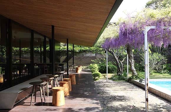 鎌倉御成町店 ─ 古都鎌倉の文化的地区に立地(出典: スターバックス コーヒー ジャパン公式)